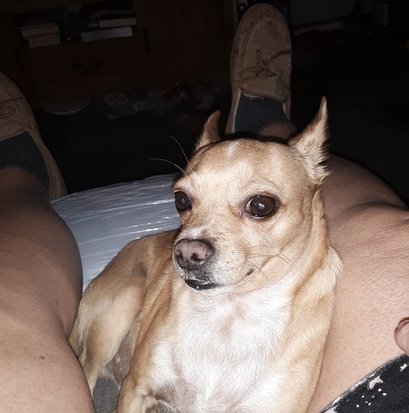 miweefritz